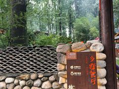 -林间山庄