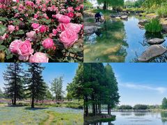 -上海辰山植物园