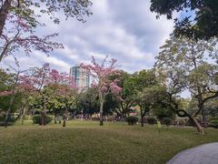-晓港公园