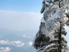 -瓦屋山景区