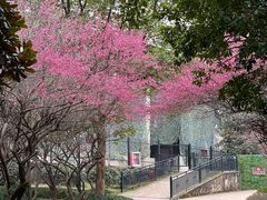 -杭州野生动物世界