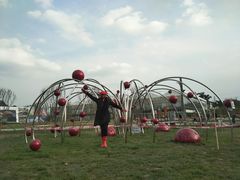 -三圣花乡旅游区