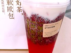 霸气酸奶杨梅-奈雪的茶(中海环宇荟店)