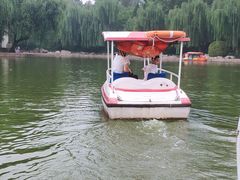 -团结湖公园