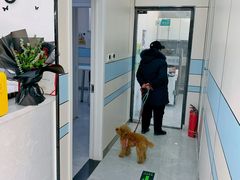 -中农国际动物医院24小时·猫科·骨科·急重症中心