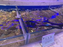 -澜悦港海鲜体验主题餐厅