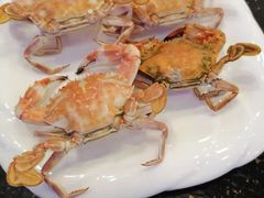 -鲜鲜·鲅鱼圈海鲜(于洪店)