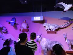 -中国天府农业博览园