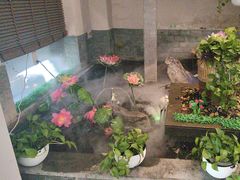 -韵道养生.足道.按摩.SPA(古美店)