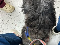 -瑞派康怡24h宠物医院·犬猫医疗中心·微创绝育(瑞景分院)
