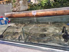 -川骄海鲜自助(河东店)