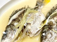 -花城苑广府菜(侨鑫店)