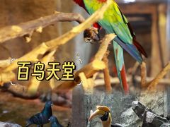 -长鹿旅游休博园