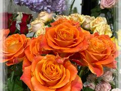 -Gigi Florist·Dk Coffee