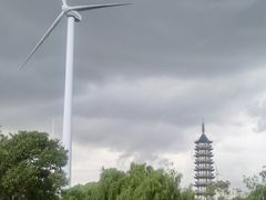 -碧海金沙