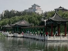 -莲花池公园