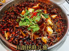 -川道拐耗儿鱼(置信路店)