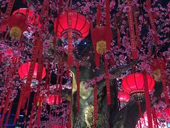 -万达茂商场(南京仙林店)