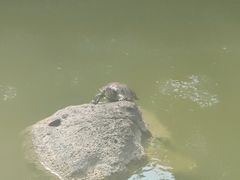 -南京市江宁方山