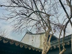 -卫道观前潘宅