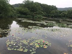 -白马涧龙池景区