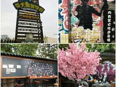 -柴犬高等学院·狗咖·柴犬售卖·宠物训练