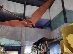 -湖南省地质博物馆