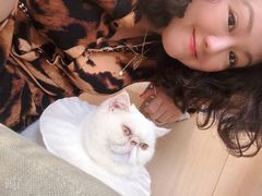 -CAT’S MEWSTAR CAFE·喵星球猫屋(晴湾咖啡店)