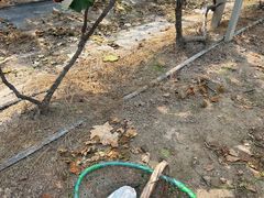 -马陆小张葡萄园农家乐