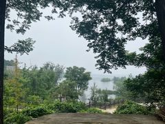 -李家庄村