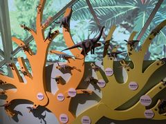 -湖南省地质博物馆