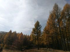 -塞罕坝国家级自然保护区