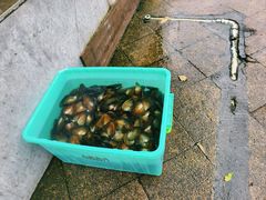 -水边人家·鱼宴餐厅·淳鱼馆(千岛湖店)