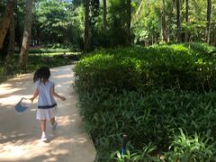 -三亚湾海居铂尔曼度假酒店