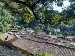 -杨家堂村