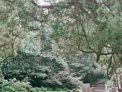 -缙云山景区