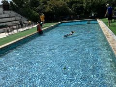 -汪说喵讲宠物乐园宠物酒店(红星美凯龙店)