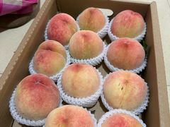 -老袁家蜜桃农场·阳山水蜜桃