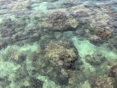 -三亚西岛海洋文化旅游区