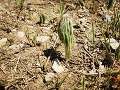 -北京鹫峰国家森林公园