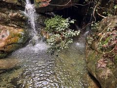 -午潮山国家森林公园