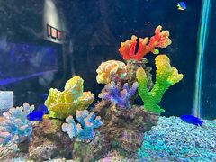 -海合安武汉极地海洋公园