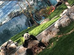 -鄂尔多斯野生动物园