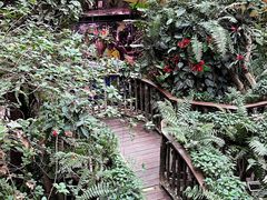 -正佳雨林生态植物园
