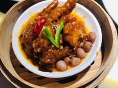 -南枝记