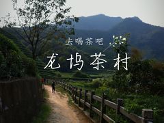 -龙坞茶村