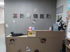 -嘉美宠物医院