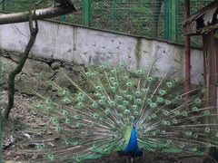 -藏龙百瀑风景区