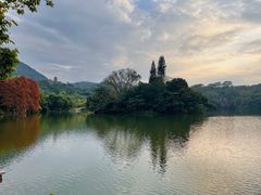 -深圳仙湖植物园