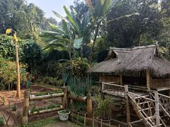 -中国科学院西双版纳热带植物园
